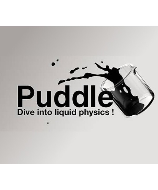 Puddle Steam Key EUROPE